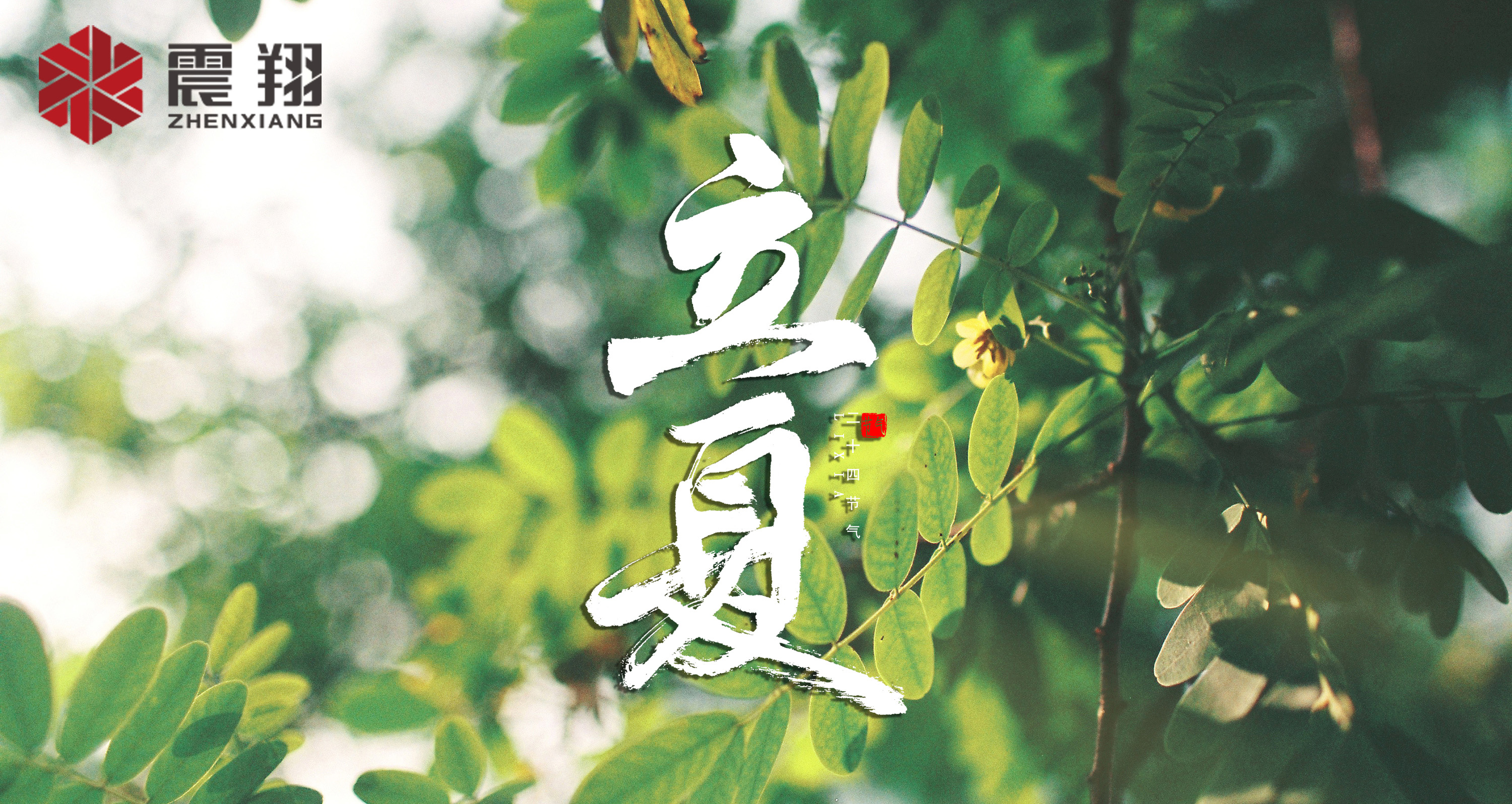 【立夏】春去春來不曾留意，夏日當(dāng)歸，撲面而來