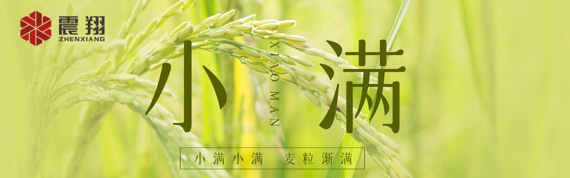 小滿|???????小滿小滿，江河漸滿。