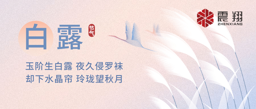 白露|露已凝，夜微涼